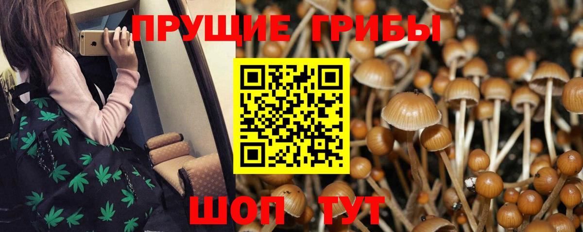 Ульяновск  Галлюциногенные грибы GOLDEN TEACHER  Псилоцибиновые грибы мицелий  Вход с VPN 